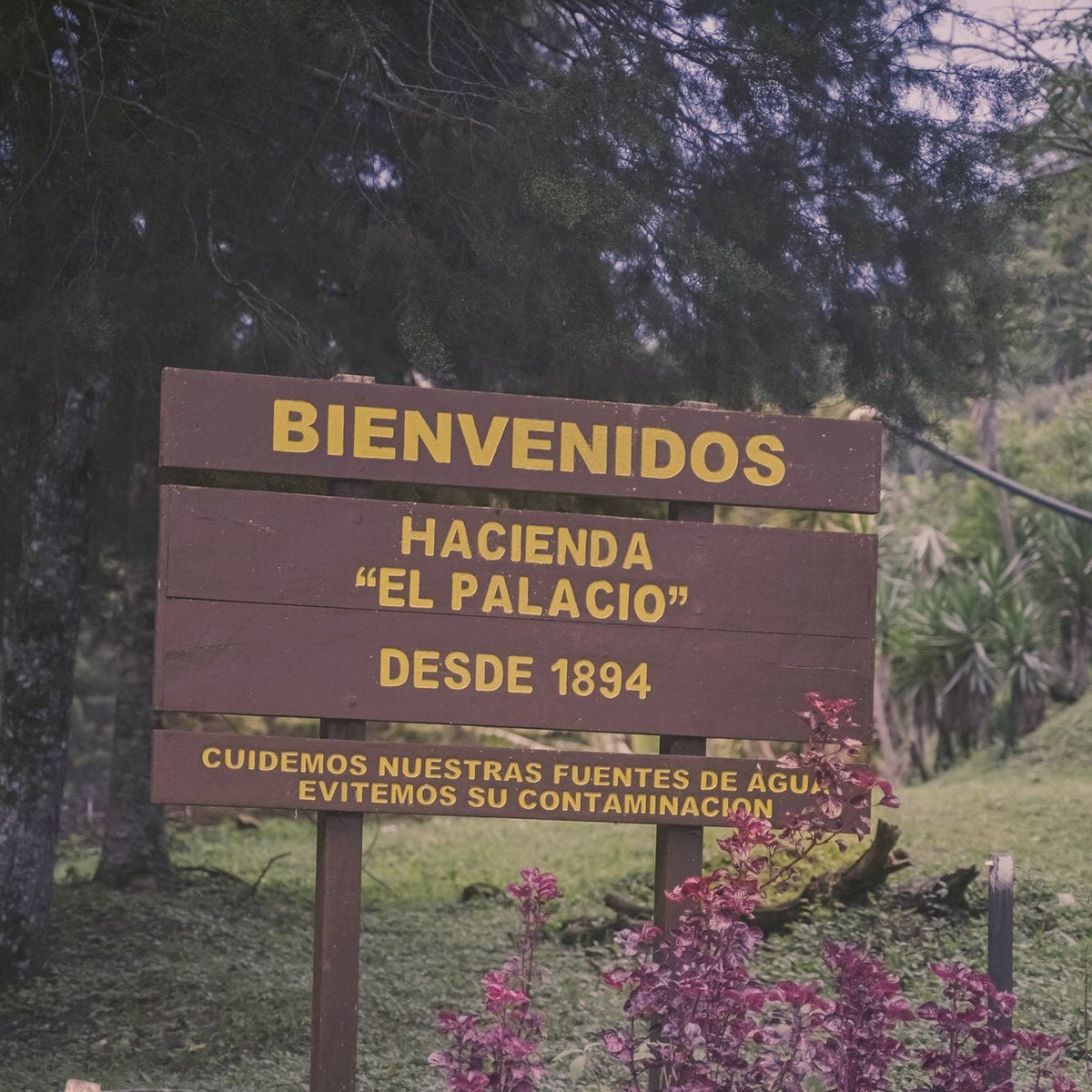 The welcome sign at Hacienda El Palacio, a coffee farm in Nicaragua, with flowers in front
