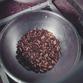A steel bowl of cracked cacao nibs under a winnowing machine, Nicaragua