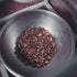 A steel bowl of cracked cacao nibs under a winnowing machine, Nicaragua