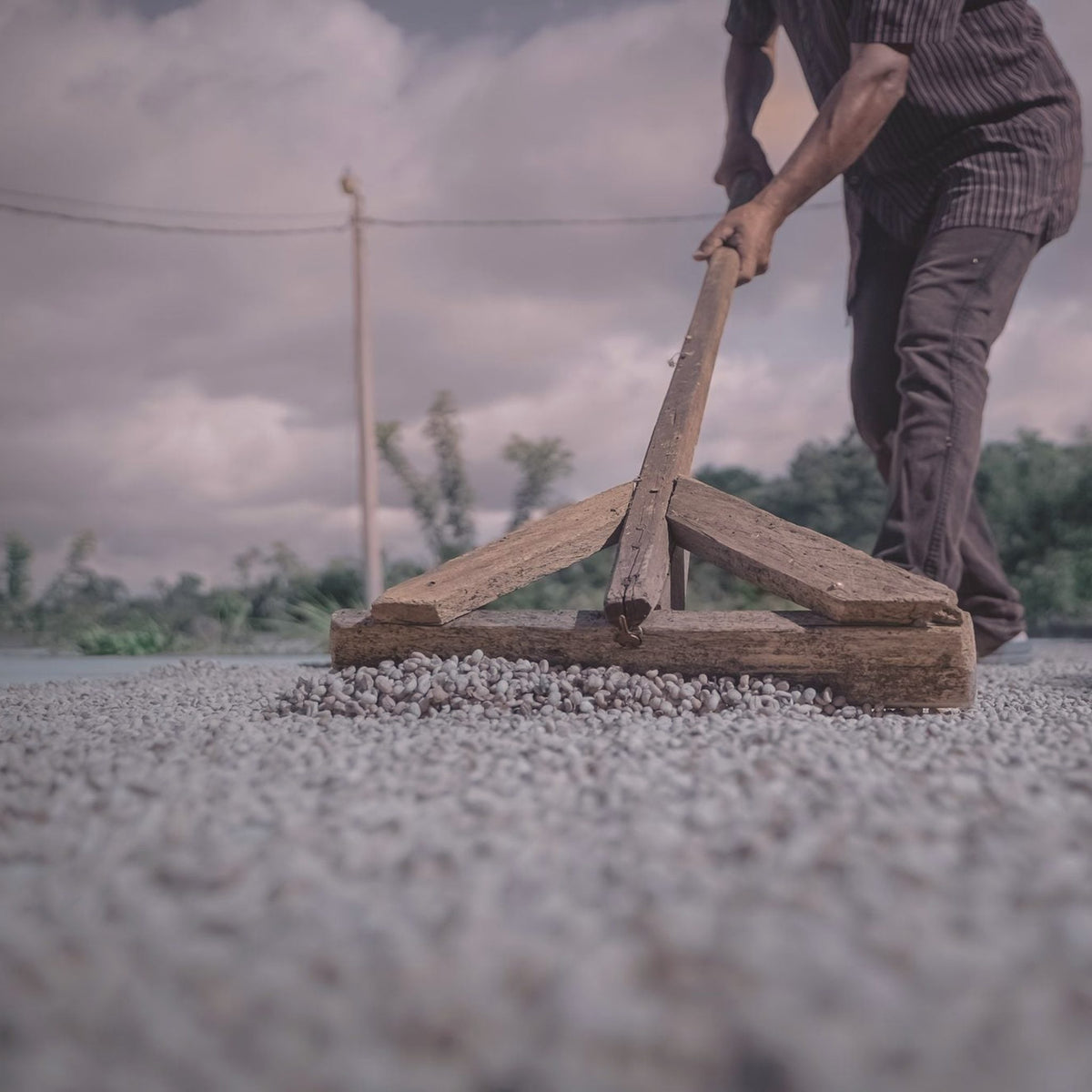 A man pushing a wooden rake through coffee drying on a wide patio, Nicaragua