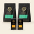 Coffee Bundle contents: two bags of Oro single-origin Nicaraguan coffee and two Oro Coffee 78% bars on a cream background