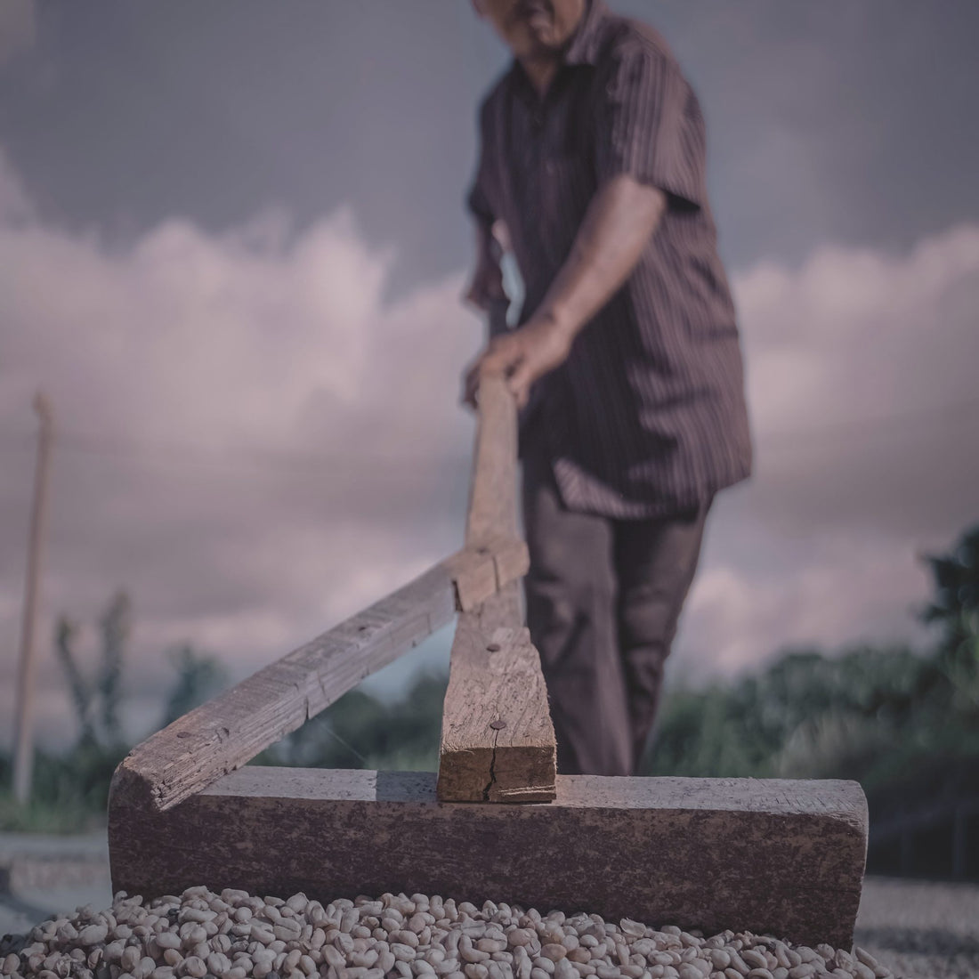 A man raking coffee drying on a patio under a cloudy sky, Nicaragua