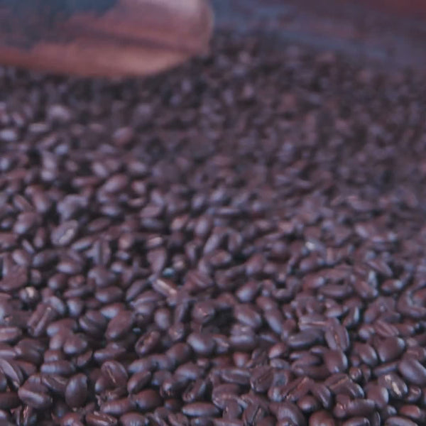 Roasted Nicaraguan coffee beans
